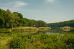 Jezioro w Gołóchowie